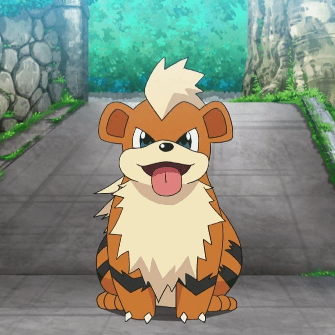 growlith3 avatar