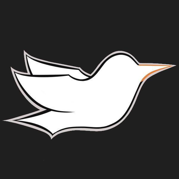 The Starling Corporation