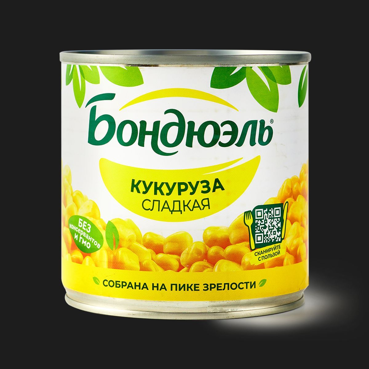 Bonduel3