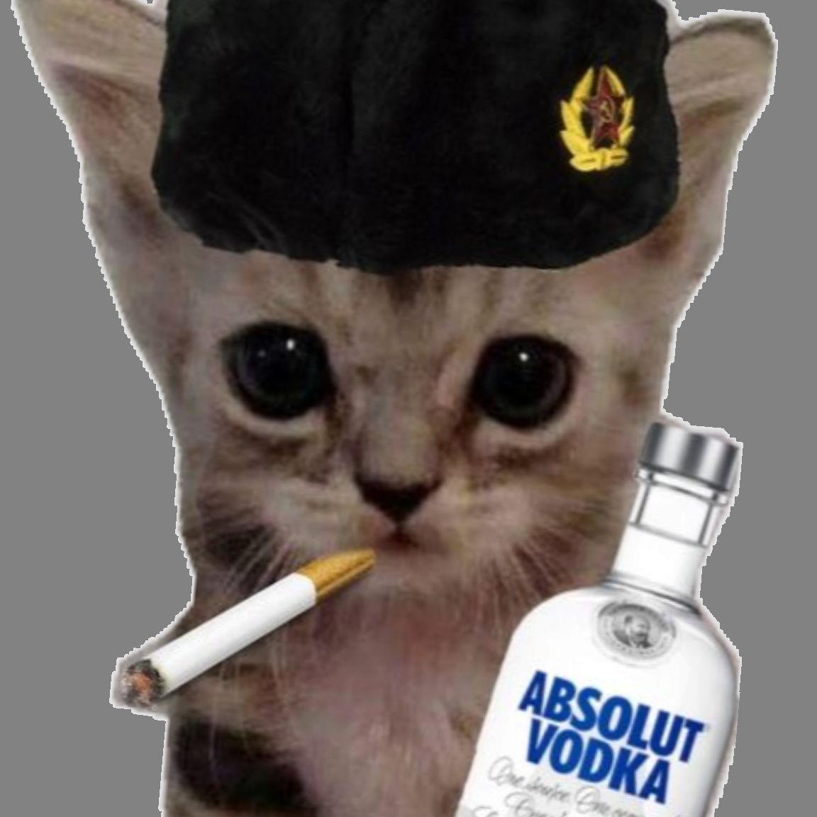 ogr0dnikk