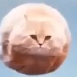 bankka0