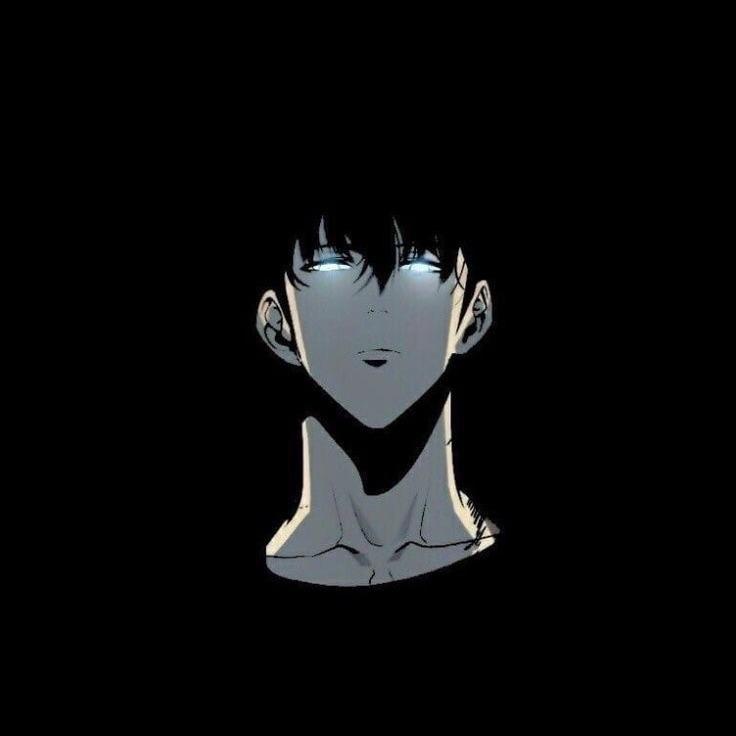 qansheeeer avatar
