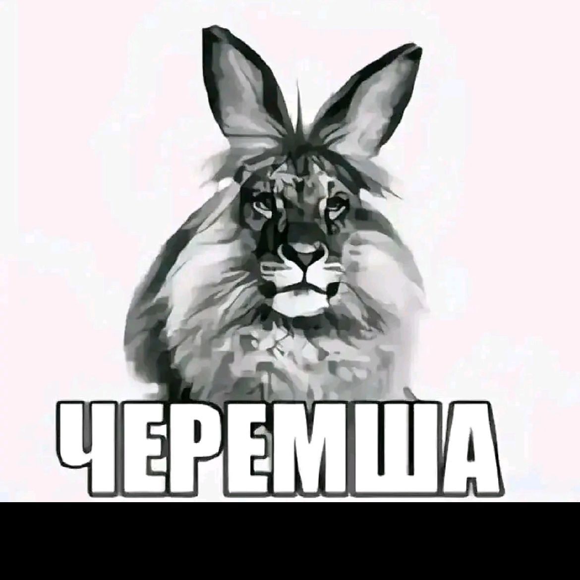chrmsha