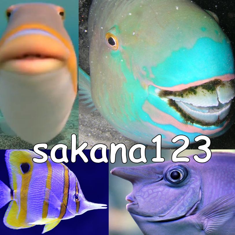 sakana123