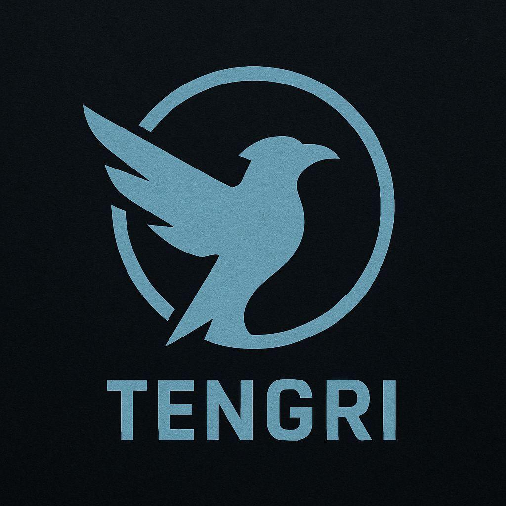 -tengr1 avatar