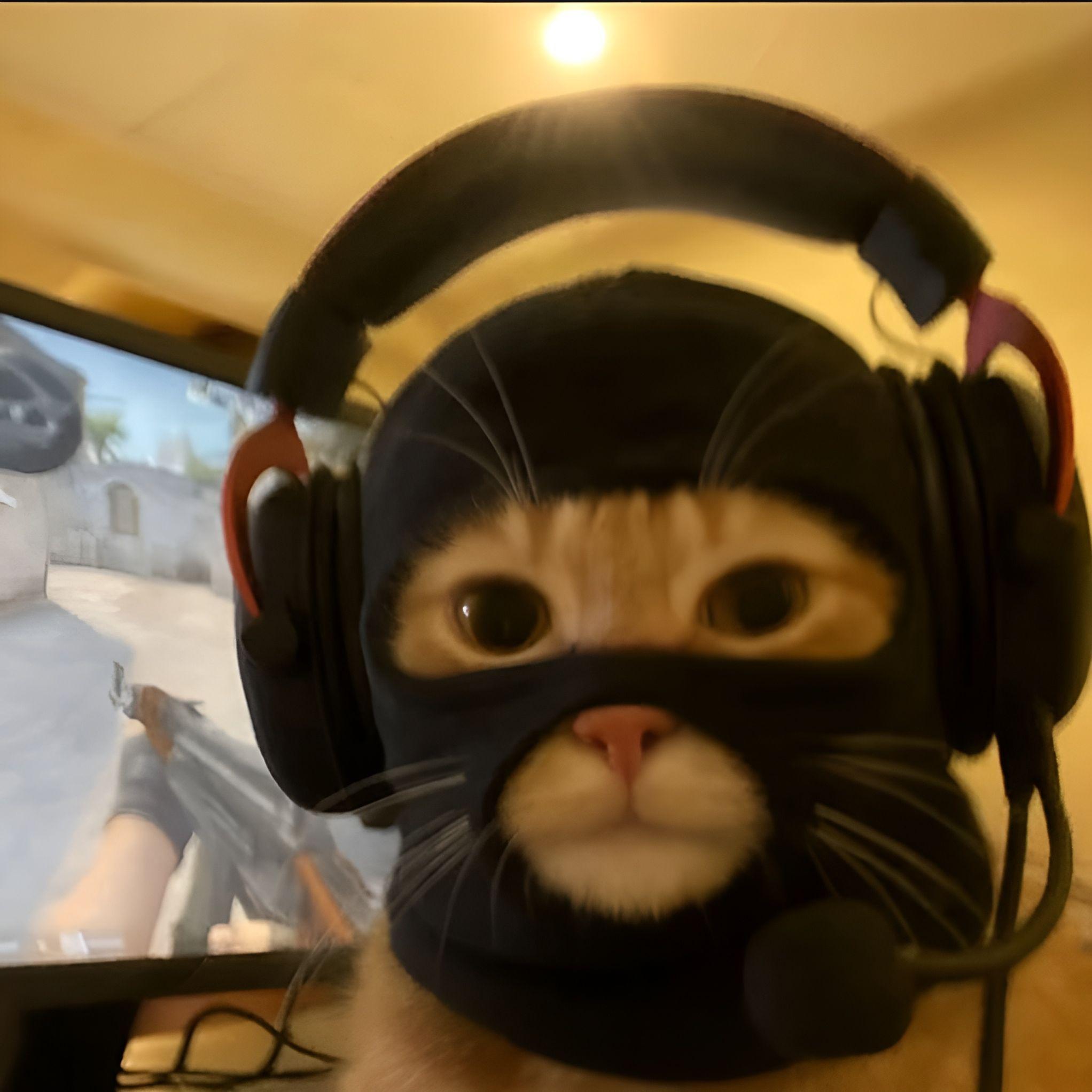 Z00Mgg avatar