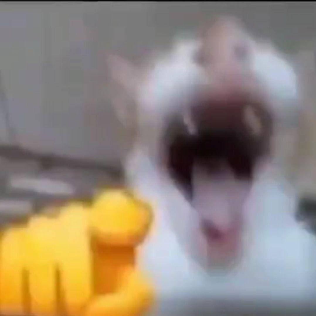 yoorick1 avatar