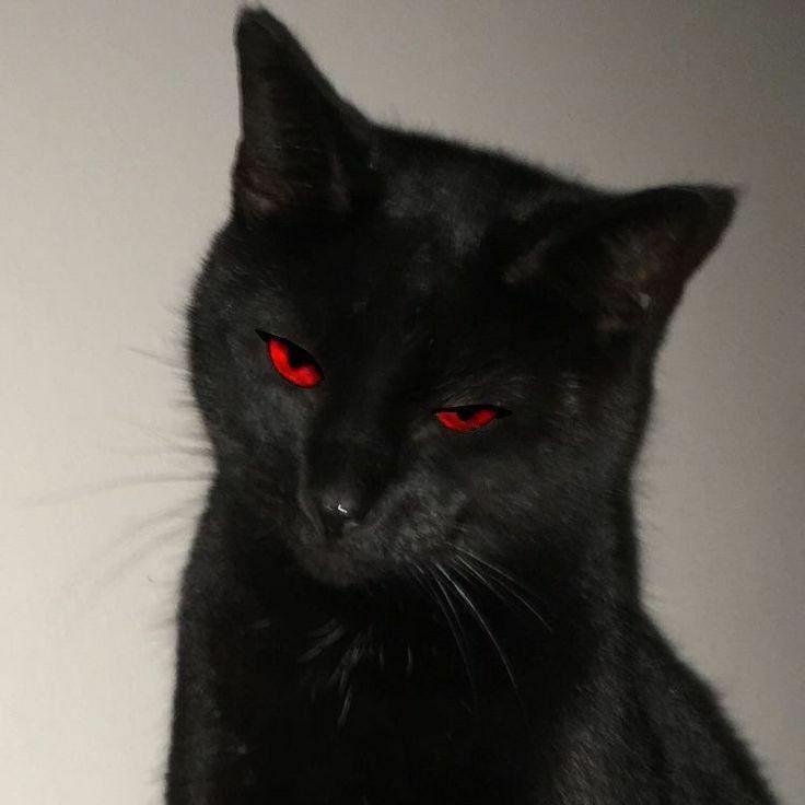 sundr666 avatar
