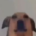 fbxr