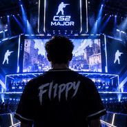 Flippy15
