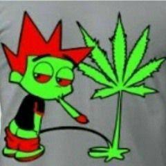 maple03 avatar