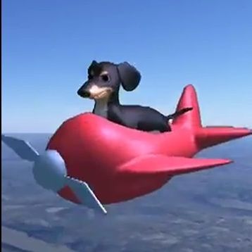 WaterDoge154