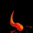 spxxx-