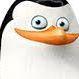 Sa1am9ndra avatar