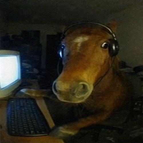 RelySha avatar