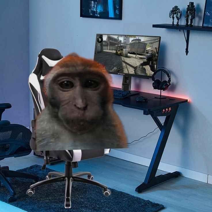 slowra1in__