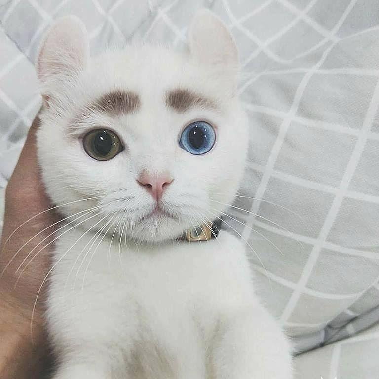 fsDUGGEee avatar