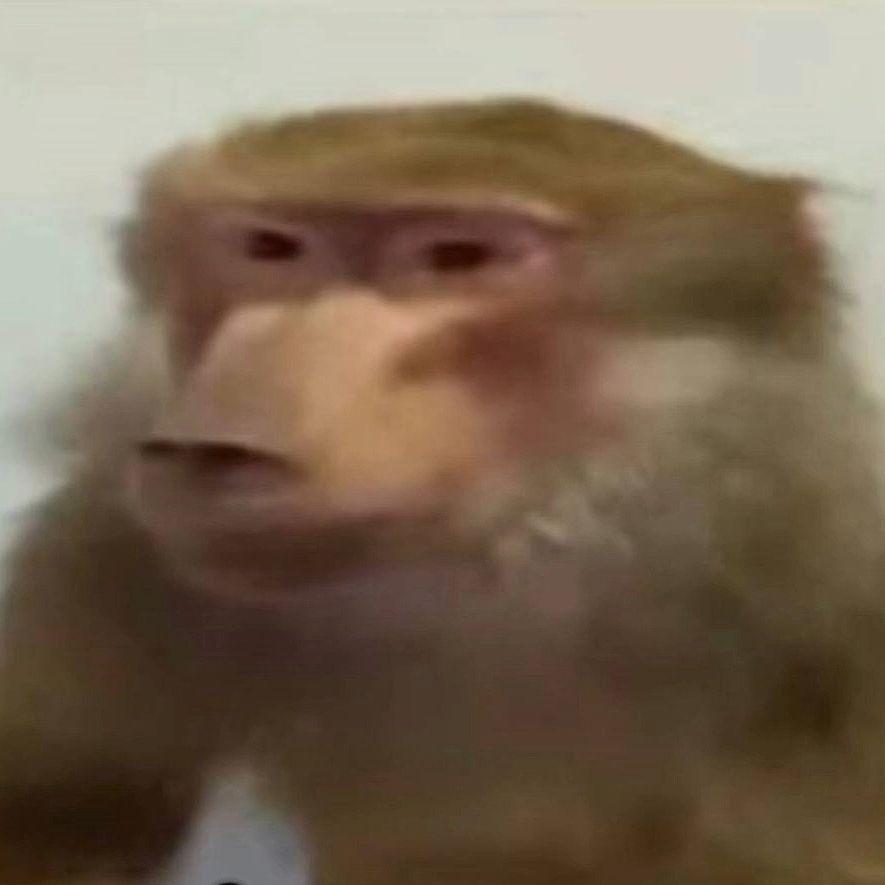 SE1NGG
