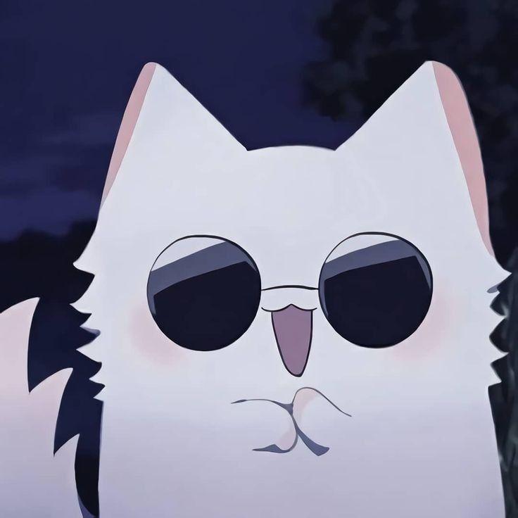 Catorun avatar