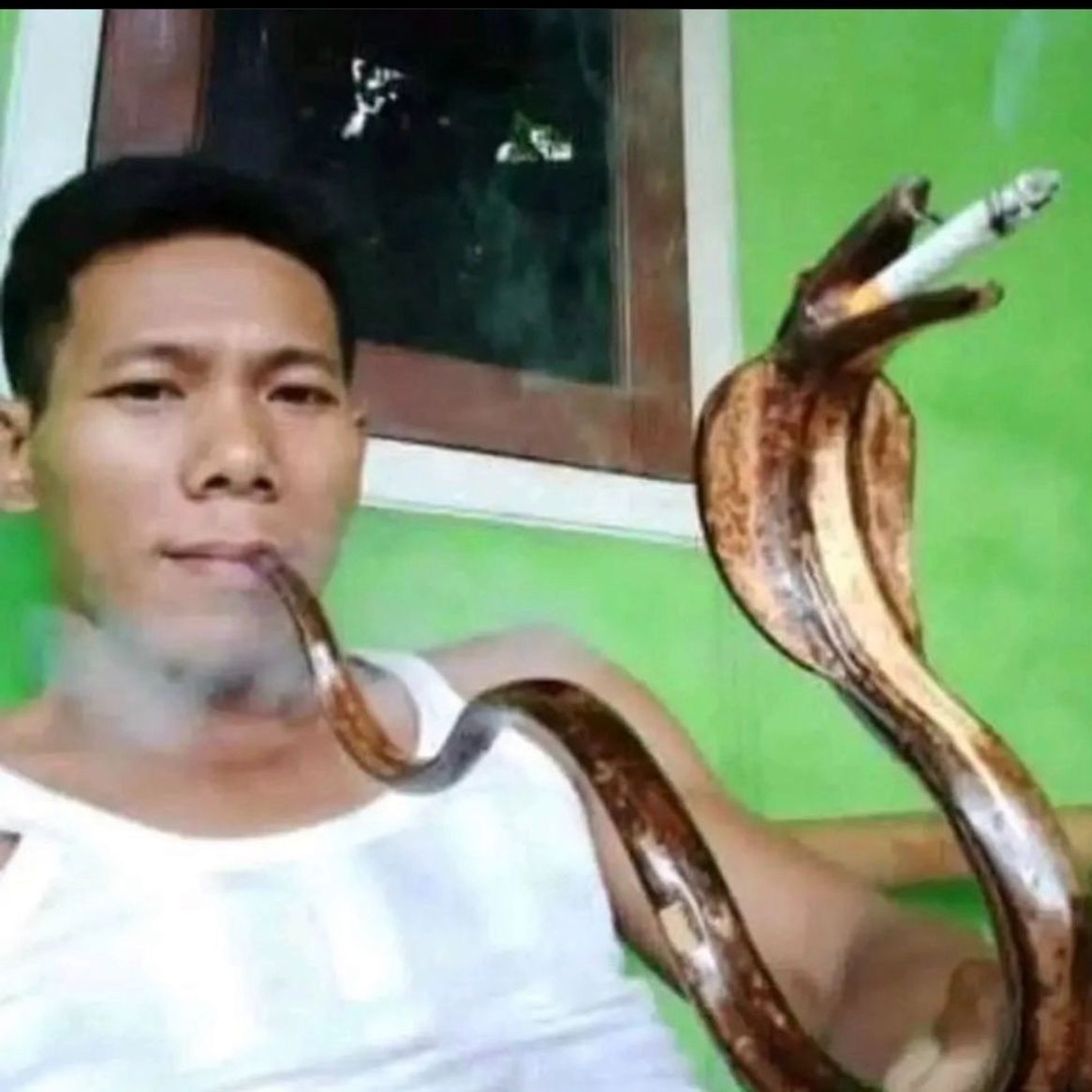 cuaoleo