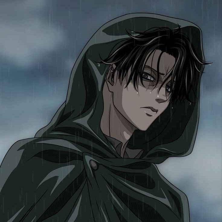--Ackerman avatar