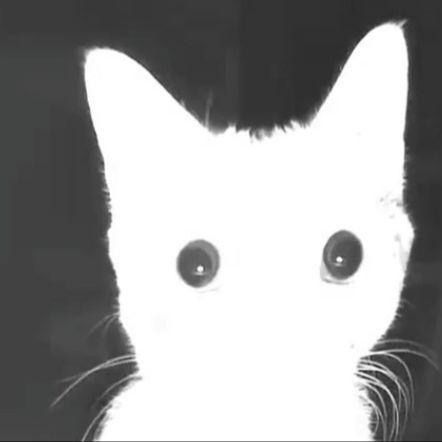 balblessed avatar