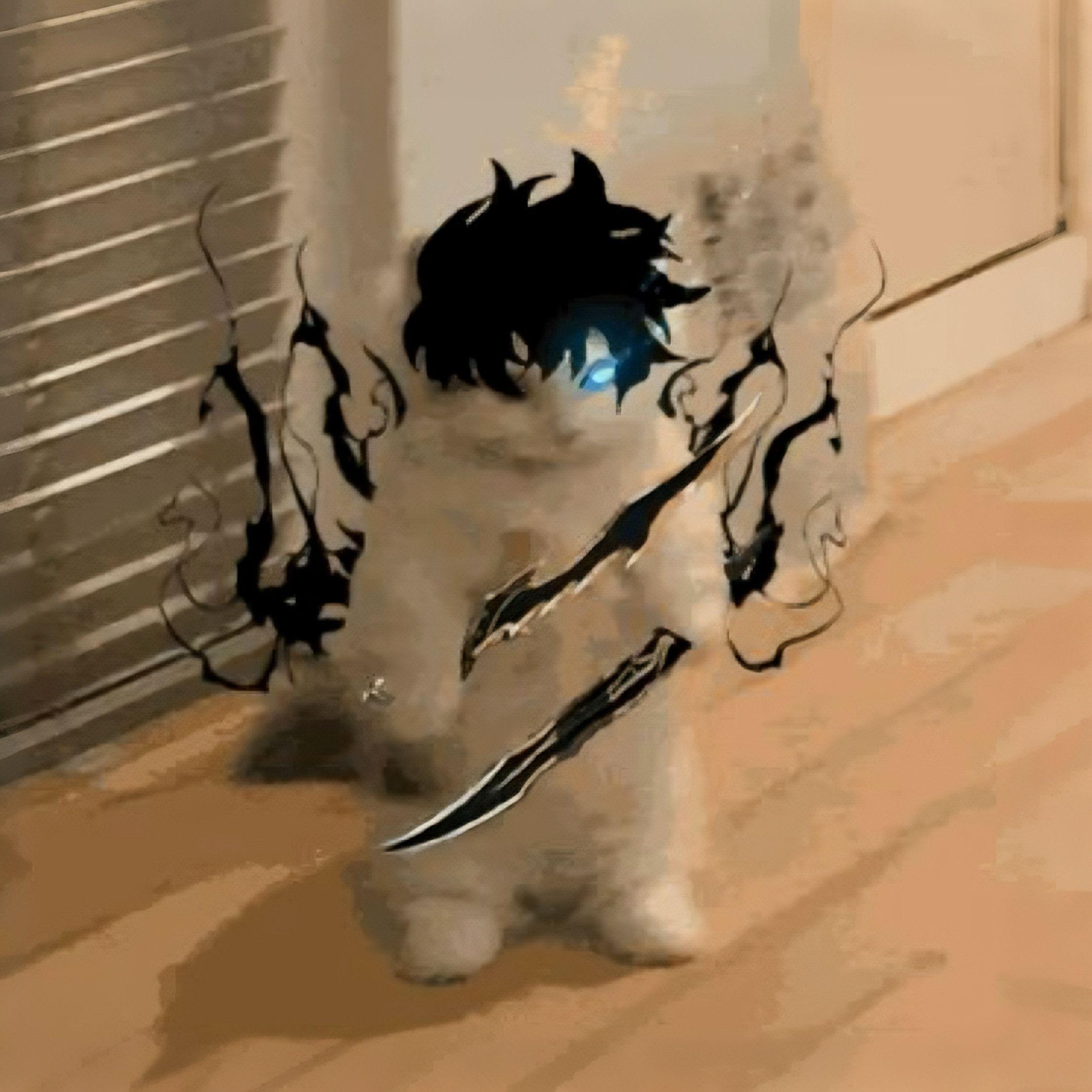 skr9p avatar