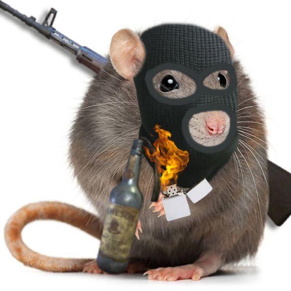 Rat_Priest avatar