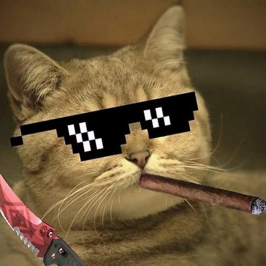 Maks_ avatar