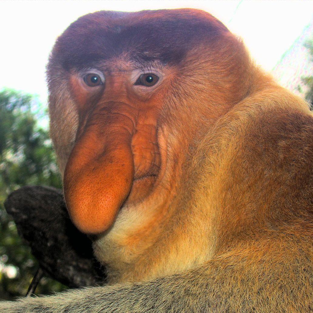 DimaGvozd avatar