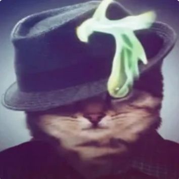 Faceit profile picture for @tak