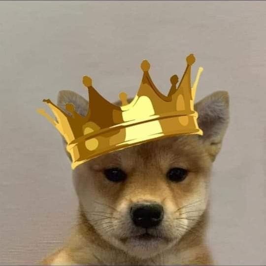 AlexPrimaru7