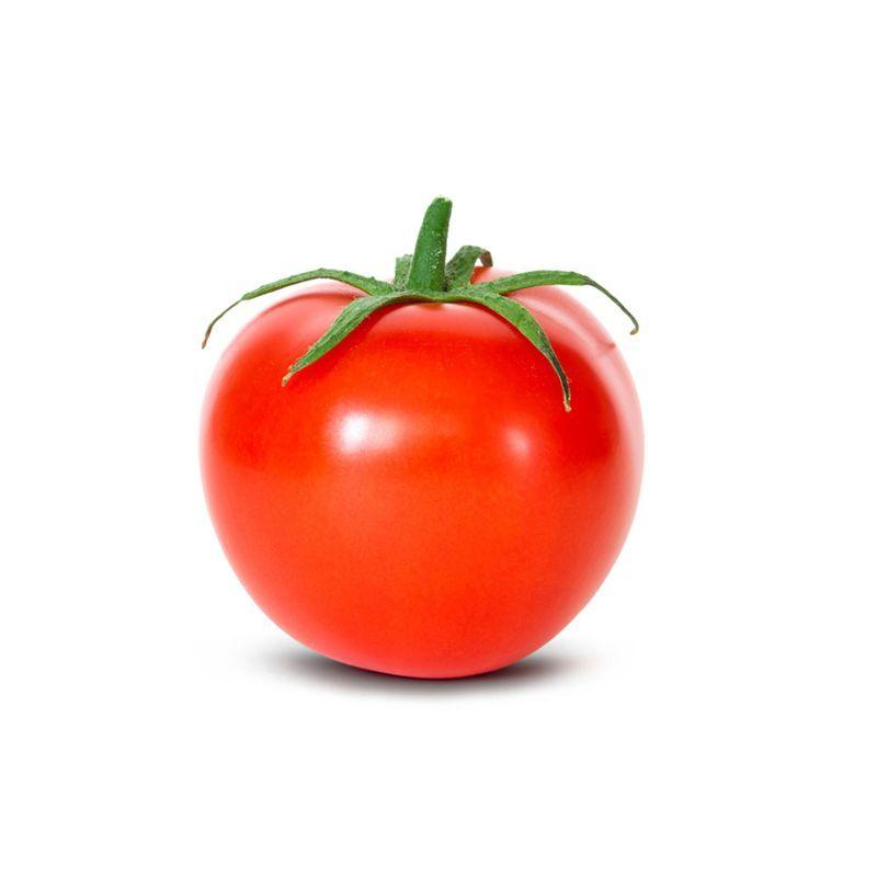 GalaGanga