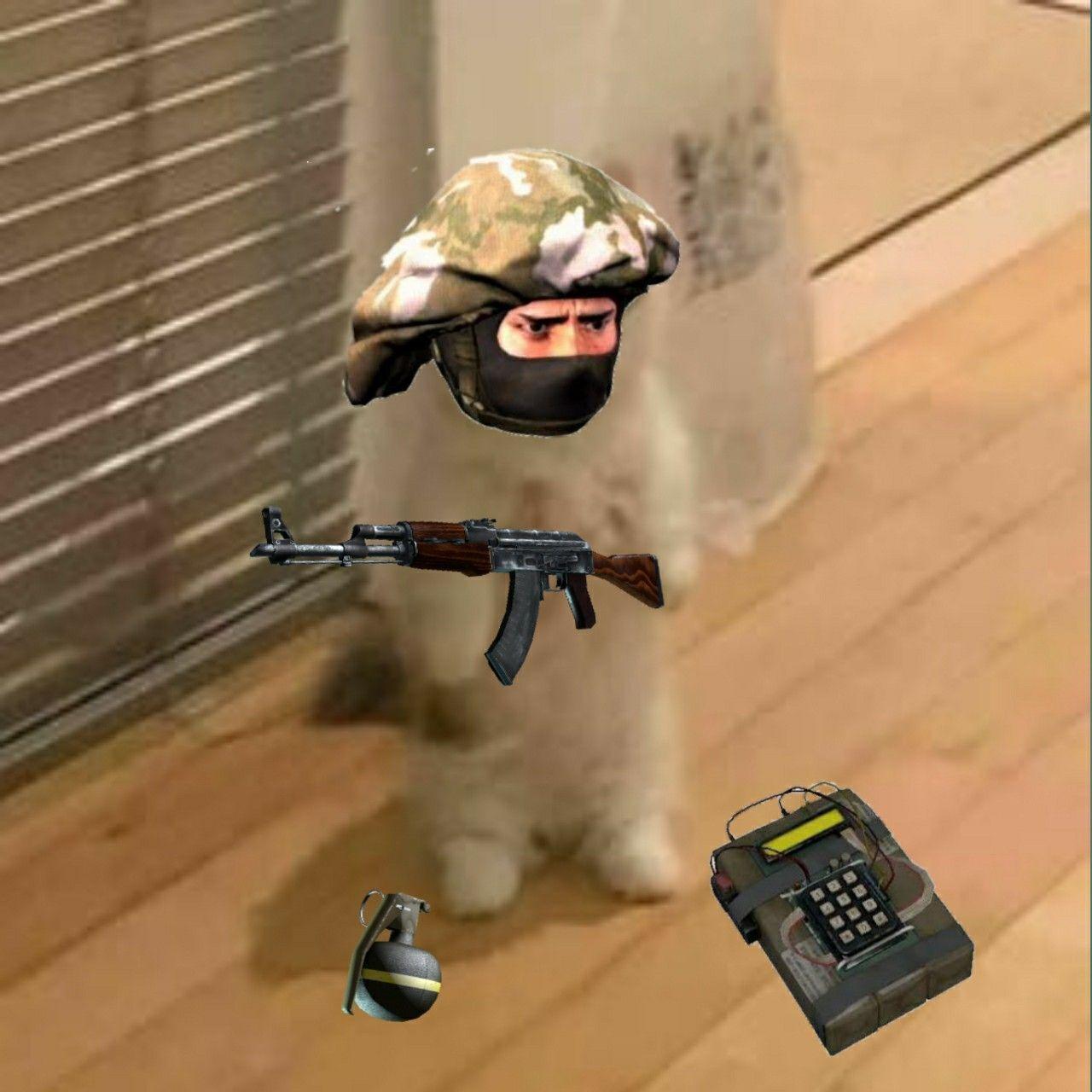 flexxz avatar