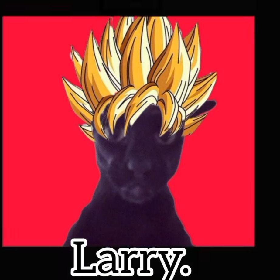 LarryLeM