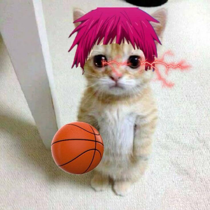brooklynzy avatar
