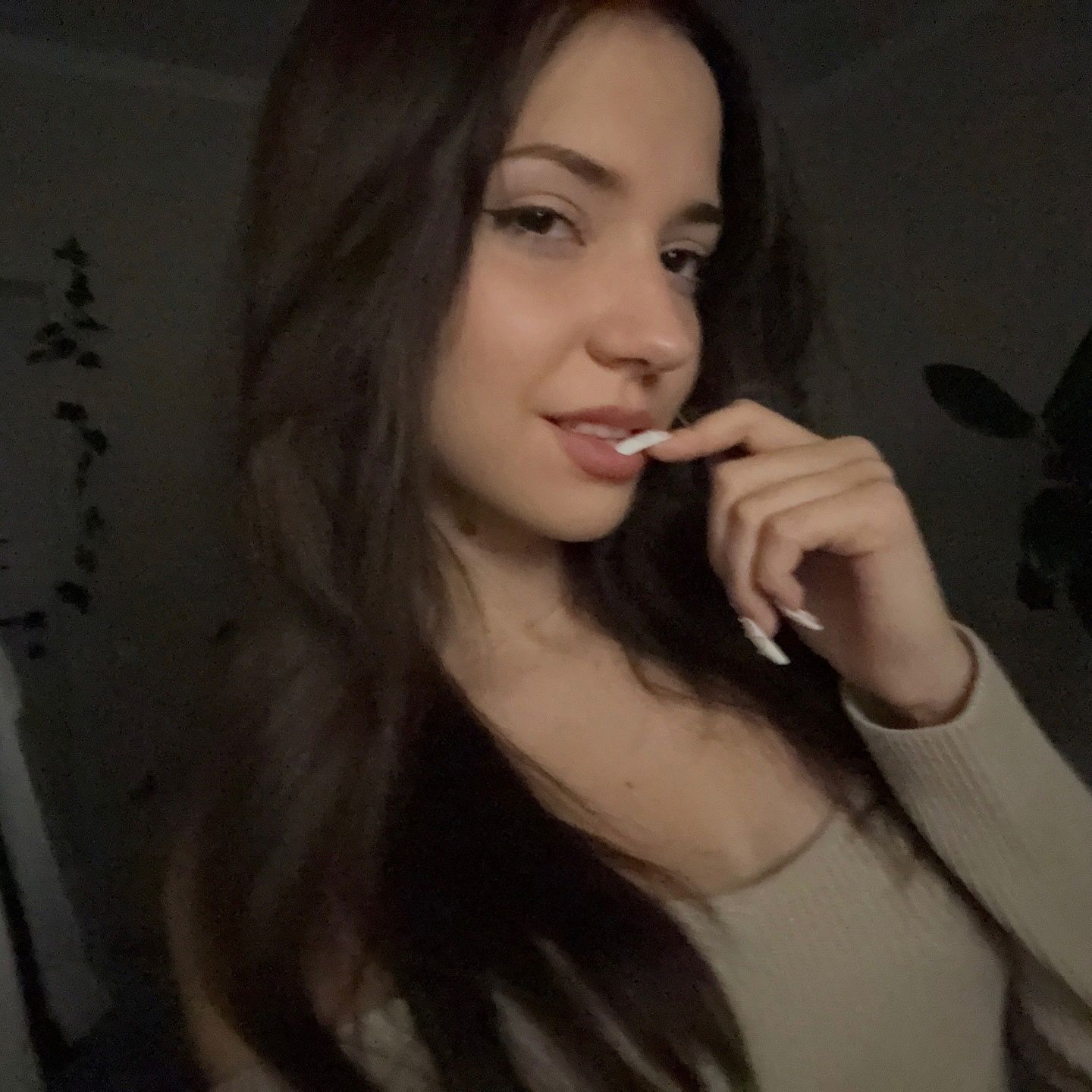 Sanchoys3