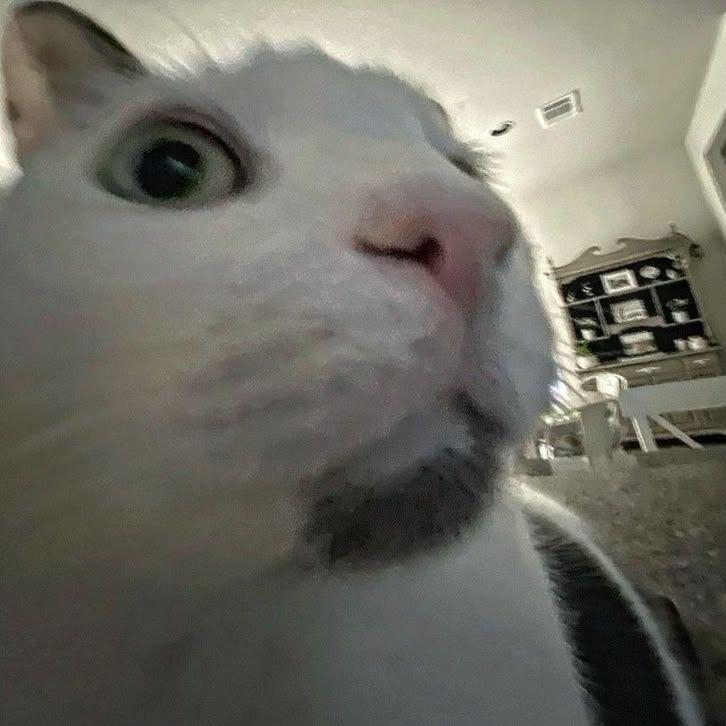 Diorqoqaj04