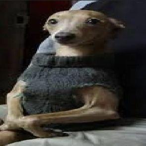 NapletoN15 avatar