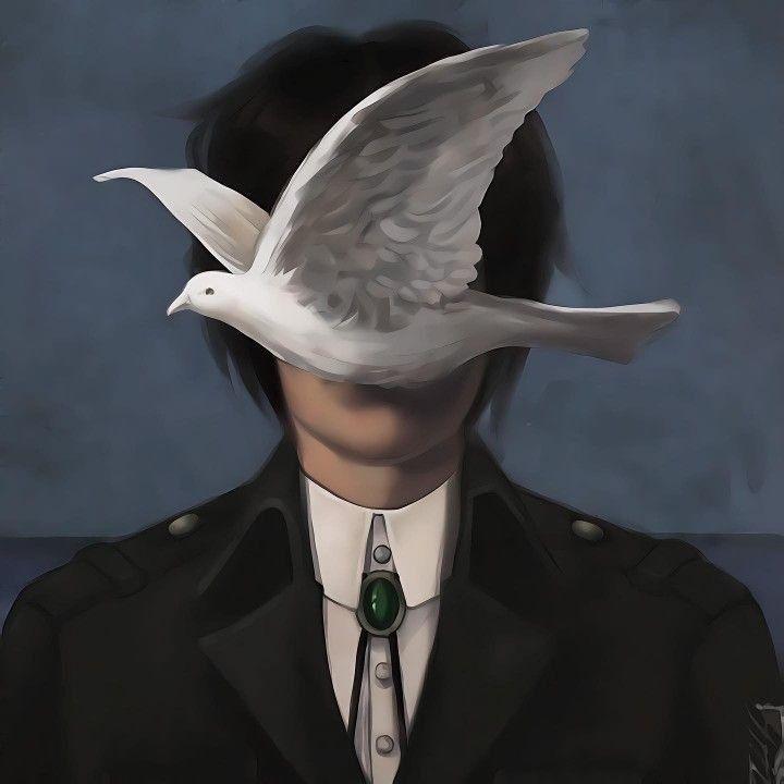 Tachi9 avatar