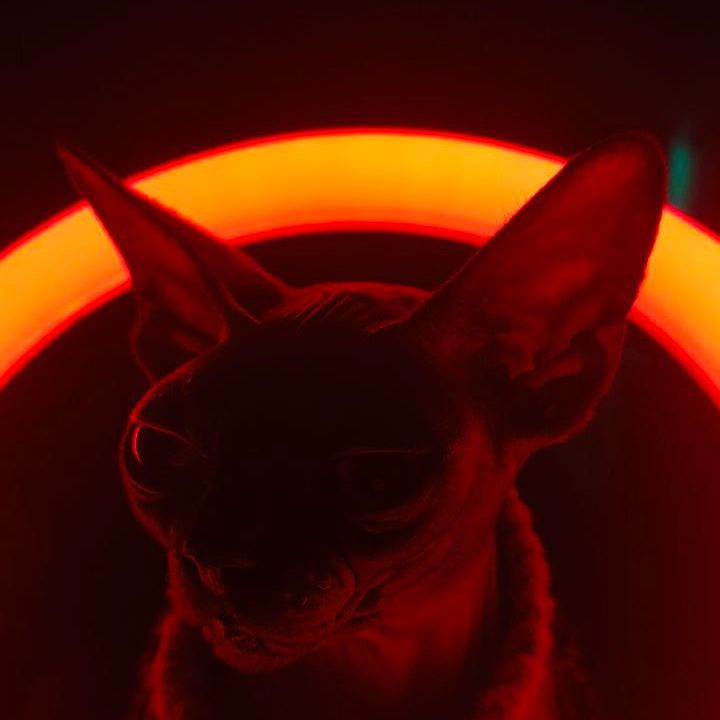 rhymeow