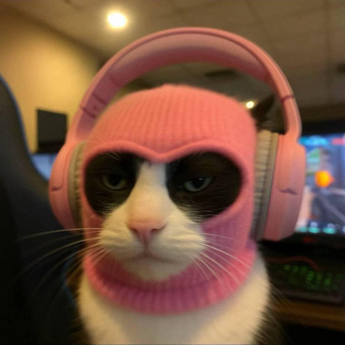 enuffluv avatar