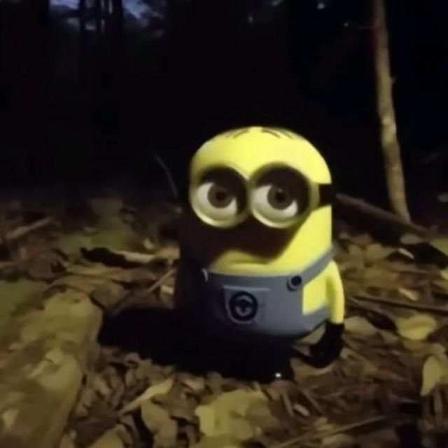est9fakaet
