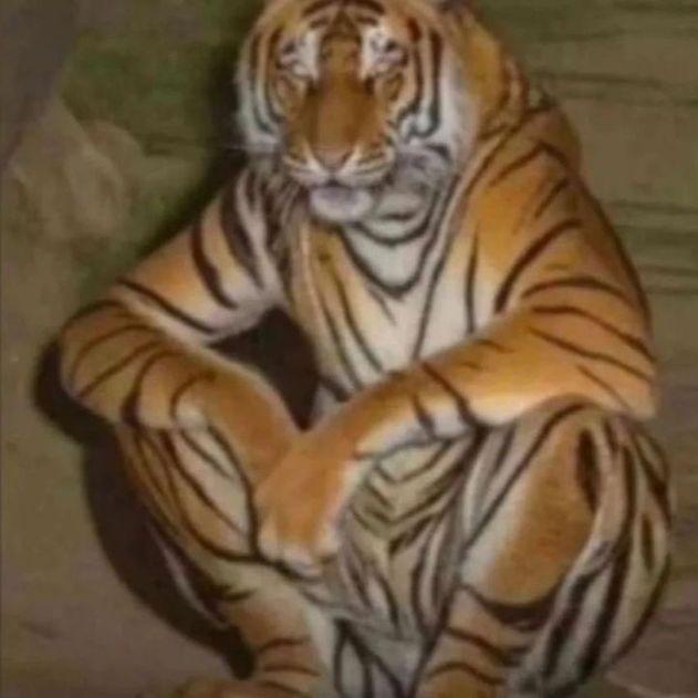 tw1nqqleee avatar