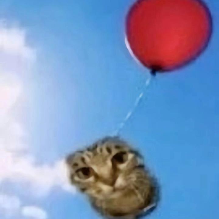 Wooitek avatar