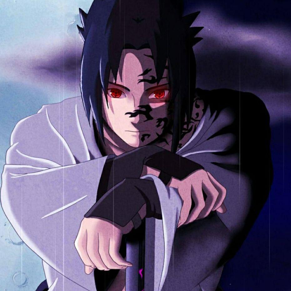 RblBachek228 avatar
