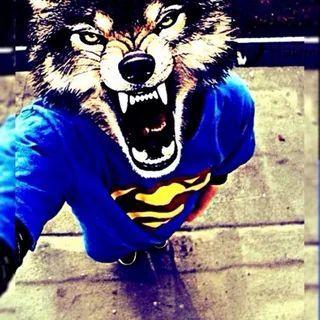 RavenMvm avatar