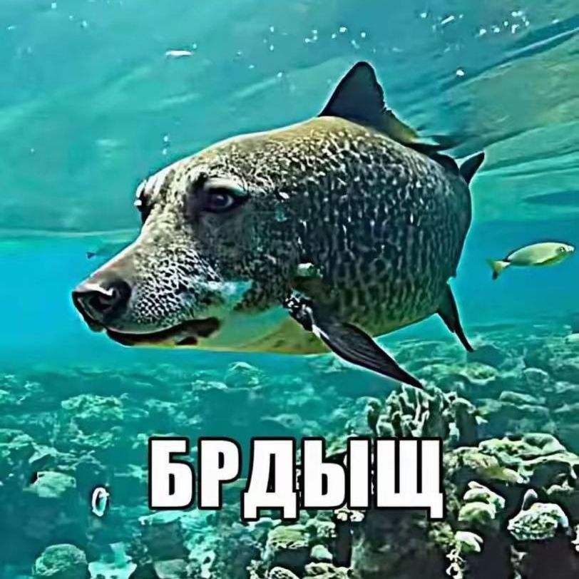 team_ntmoment