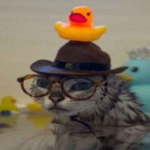 Frokz1x avatar