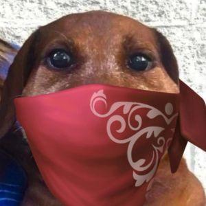 liko0z avatar